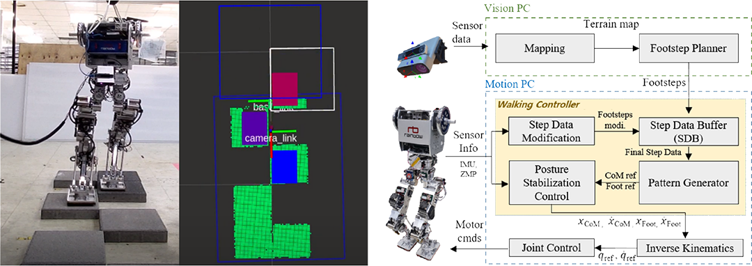 Humanoid locomotion pipeline overview